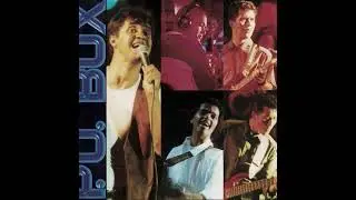 P. O. Box - Papo De Jacaré (Ao Vivo)
