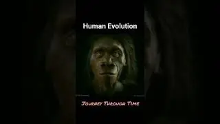 It shows an simulation of Human Evolution | Origin of Human Life (HOMO SAPIENS)
