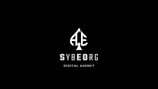 Boosting Local Politics: Campaign Ad Success Story | SYBEORG