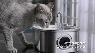 3.2L Stainless Steel Pet Water Feeder Auto Cat Fountain Smart Dog Water