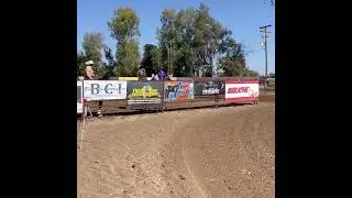 Mister Cash Flo & Ruby running at CN  quarter horses event.