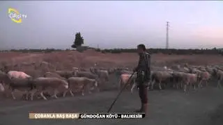 ÇOBANLA BAŞ BAŞA/15. BÖLÜM GÖNDOĞAN KÖYÜ-BALIKESİR