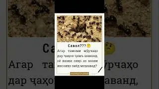 Аҷоиботи Олам #тоҷик #точик #таджикистан #тачик #душанбе #tjk #tj #fact #facts #tiktok #trending