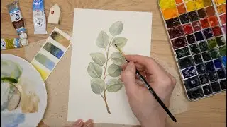 Бесплатный акварельный мастер-класс по рисованию эвкалипта