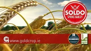 Goldcrop Spring Barley - Soldo