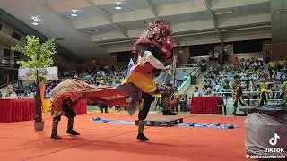 Unicorn Dance The 4th International Kirin Competition in 2024