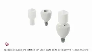Pilastri di guarigione Estetici con ScanPeg