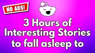 3 Hours of Interesting Stories to fall asleep to (NO ADS) - Reddit Update
