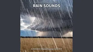 Mindfulness Audio