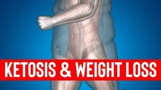 How Ketosis Affects Weight Loss (MUST KNOW INFO)
