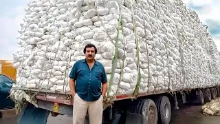 15 Coisas Mais Loucas Que Pablo Escobar Fez – Você Não Vai Acreditar!