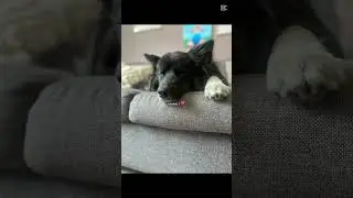 ❤️❤️❤️
