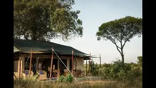 Wanderlust diaries ;Offbeat Mara Camp Masai Mara Kenya   / Adventurous travel vlog
