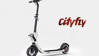 cityfly city1