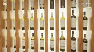 Quinta no Douro , Uma P&eacute;rola &Uacute;nica , na regi&atilde;o demarcada do Douro , Excelente Investimento !
