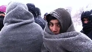 Frosts kill dozens in central Europe