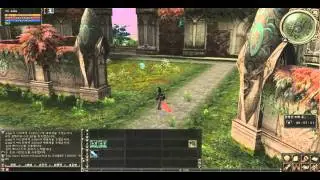 Lineage 2 GoD.avi