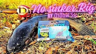 EP.31 No sinker rig Byน้าอ๊อฟ วีระ กับปลายาง #riproy polly งานนี้มีตึง 🎣