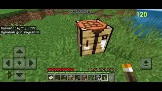 Casper Via x40 Minecraft fps testi 