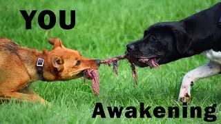 Five factors That Cause Struggle After Awakening