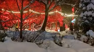 Snowstorm Walk in Moscow, Russia. Winter snow walk in city center Blizzard, snow walk