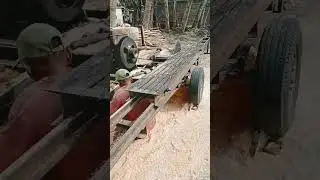 SERKEL RELL KELILING, JASA TEBANG & GERGAJI