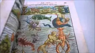 MAPPING THE NEW WORLD: Renaissance Maps