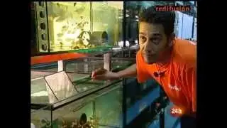 Albepet en Telediario de TVE