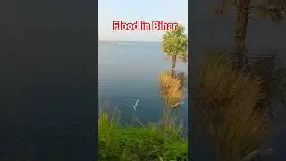 bihar flood 2025 #bihar #flood #nature #khakee #biharmebahar #travel #monsoon