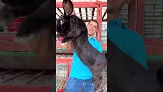 Amazing Animal Growth Journey! #animals #wildlife #animaltransformations