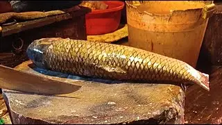 🔴 Relaxing Catfish Cleaning ASMR | Pure Knife Sounds