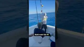 Deep sea #fishing #vlog