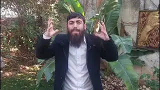 'אני יוסף' - ר' יוסי קוק בחיזוק לפרשת ויגש מתורתו של אביו הרב דב קוק שליט