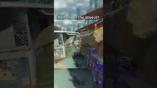 Remember the Weevil?