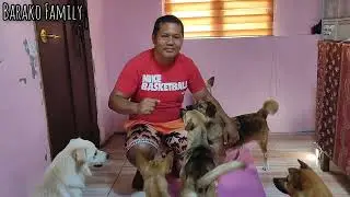 Proud Aspin Lover Here #doglover #barakofamily #dog #barako