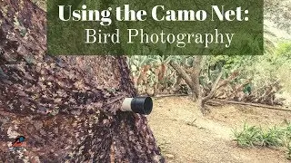 Camo Net for Bird Photography | Competition Winner Announcement by Laurent Geslin