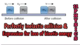 Perfect inelastic collision | Loss of kinetic energy | 11 Physics| Samacheer kalvi.