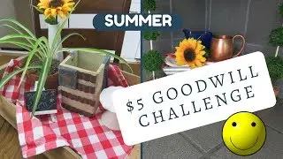 $5 GOODWILL CHALLENGE | SUMMER EDITION 2017