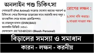 বিড়াল সাদা বমি করছে?জেনে নিন কি করতে হবে এ সময়ে?| Biraler sada bomi korle koronio