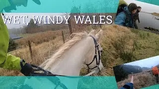 Horseback riding & Camping in Wales - Vlog 264 - Beth Endurance