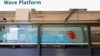 Algae raceway wave solutions