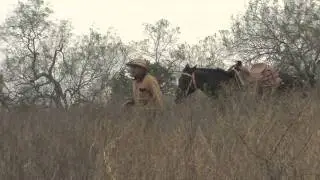 Historic Spanish Land Grants Date Back Centuries