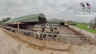 Head Locking Feed Barriers