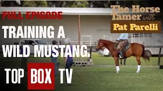 How Would You Train A Wild Mustang? | Lisa And Petunia - The Horse Tamer With Pat Parelli -106