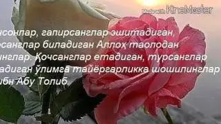 Kufrga q&ograve;l bermagan. UMMAT SHERI..