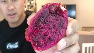 Sugar Dragon S8 Dragon Fruit Taste Review