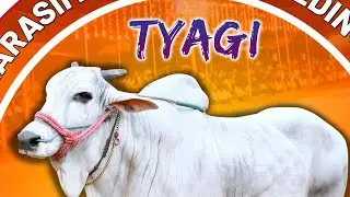 Kasanneni Raja upcoming Bulls