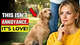 7 SIGNS Your Dog Is DEEPLY EMOTIONALLY BONDED to You