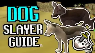 Руководство по выполнению задания &laquo;Убийца собак&raquo; (BEST Method Dog Slayer Task Guide) &mdash; пропуск за...