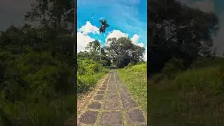 Starting the Trek in Ubud, Bali: Exploring Nature & Culture